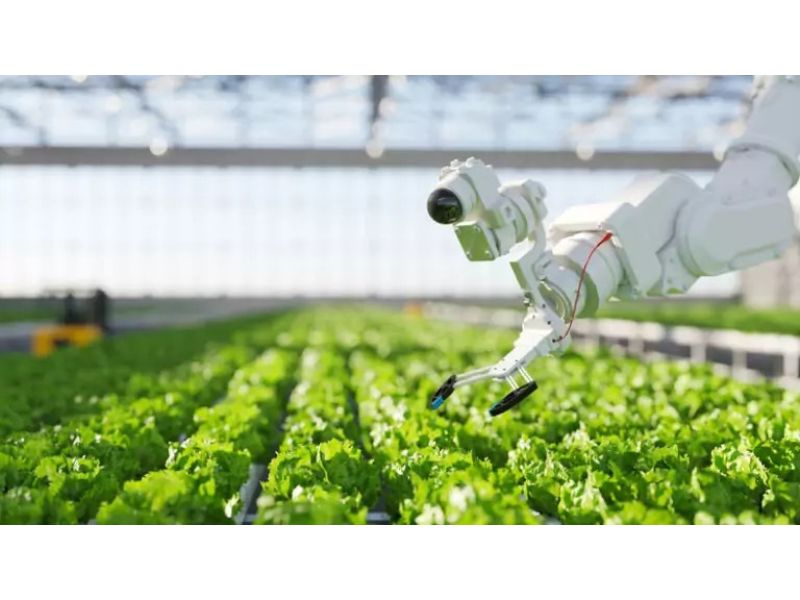 Agricultural Robots Are Transforming Farming Worldwide